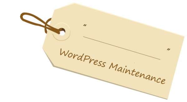 WordPress Maintenance by Webidextrous 3
