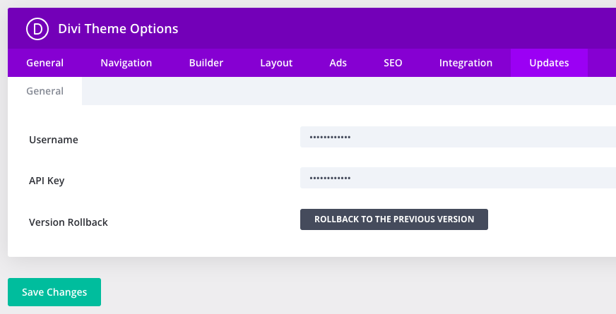 Example screenshot of enabling the Divi licensing with a valid username and API key