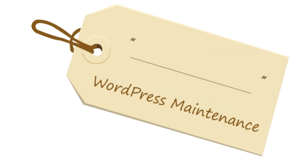 WordPress Maintenance by Webidextrous 5