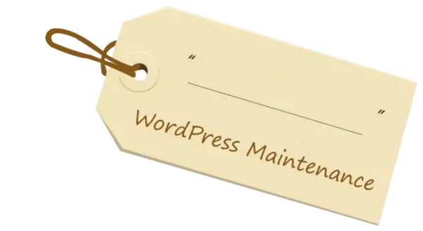 WordPress Maintenance by Webidextrous 5